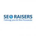 SEO Company in Toronto - Seoraisers