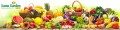 Buy Desi seeds online | Vegetable seeds, Flower seeds online, Grow Bag – Sams Garden Store