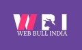 Web Bull India