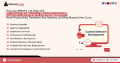 Custom Software Development- Why Does Your Business Need It in 2024?
