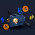 Cryptocurrency Wallet Development Services