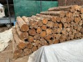 Jagdev Saw Mills, Sirsa - Burma, Sudan Teak | Sal, Meranti, Kapur, Sagwan Wood, Pine Wholesale Suppliers & Trading
