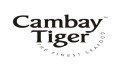 CambayTiger