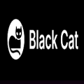 Black Cat Website Design LLC