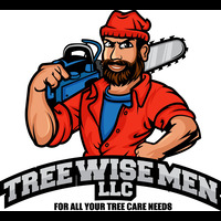 Tree Wise Men LLC