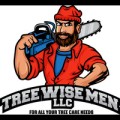 Tree Wise Men LLC