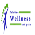 Palatine Wellness and Pain