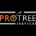 Pro Tree Services LLC