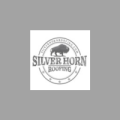 Silver Horn Roofing