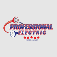 Professional Electric
