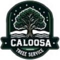 Caloosa Tree Services