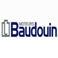 Baudouin India