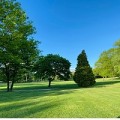 Flora Lawn & Landscaping Inc